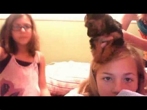 webcam dog lick nude